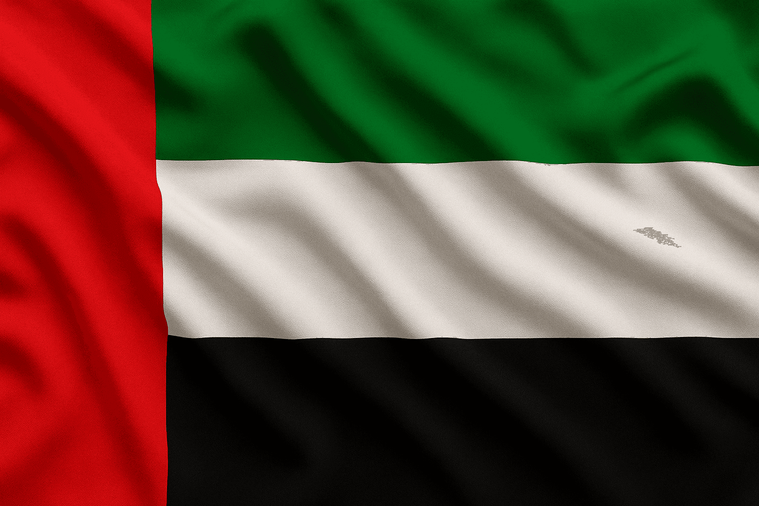 UAE flag